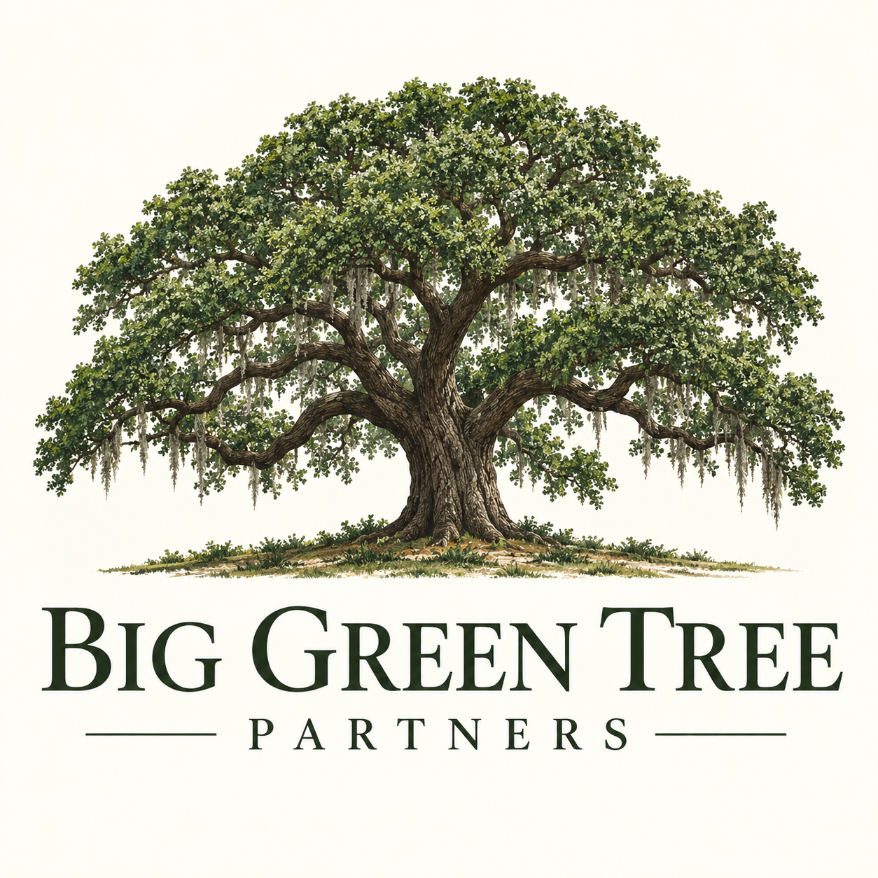 Big Green Tree Partners logo, a sprawling oak tree above the company name